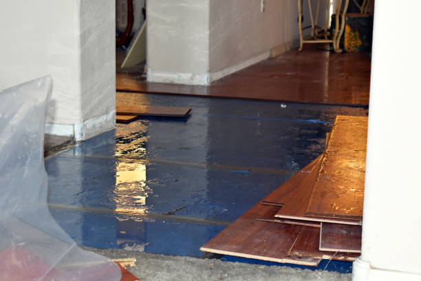 Professional Sewage Cleanup technician working in Young, AZ